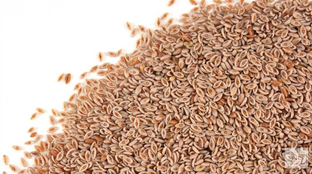 El Psyllium: una gran ayuda para hacer pan sin gluten.