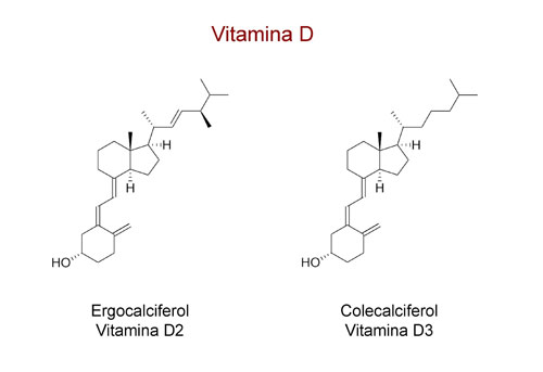 Dónde encontrar Vitamina D