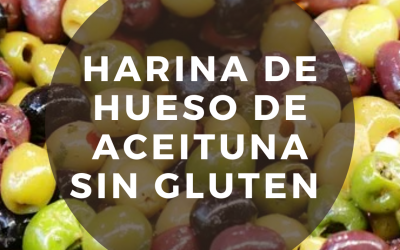 Harina de hueso de aceituna sin gluten